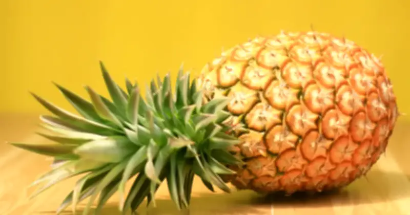 Bawa Rasa dan Rezeki ke Jamuan Tahun Baru Cina dengan Buah Nanas