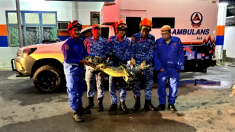 Buaya Dua Meter Ditangkap di Kampung Sindang Samarahan Selepas Hujan Berterusan