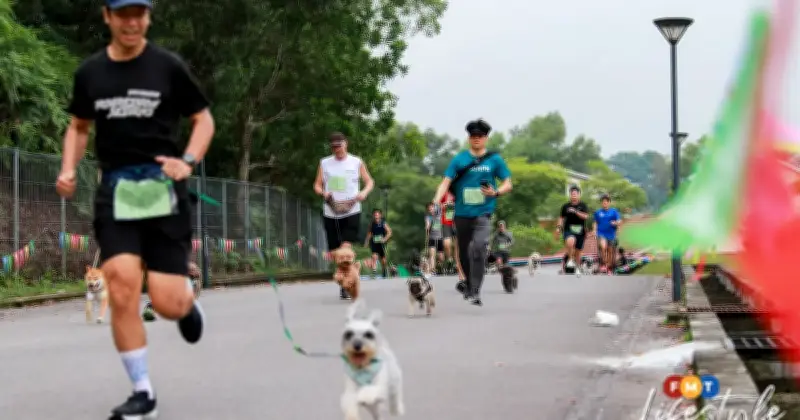 Dogathon 2026 Kembali dengan Tema 'Jurapaws', Sediakan Pelbagai Aktiviti Menarik untuk Anjing dan Pemilik