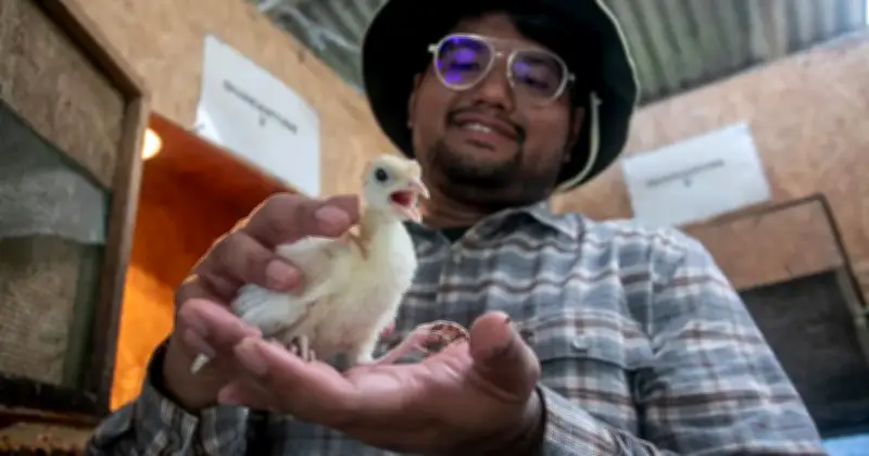 Graduan Psikologi Buktikan Kerjaya Pertanian Boleh Menjana Pendapatan Lumayan