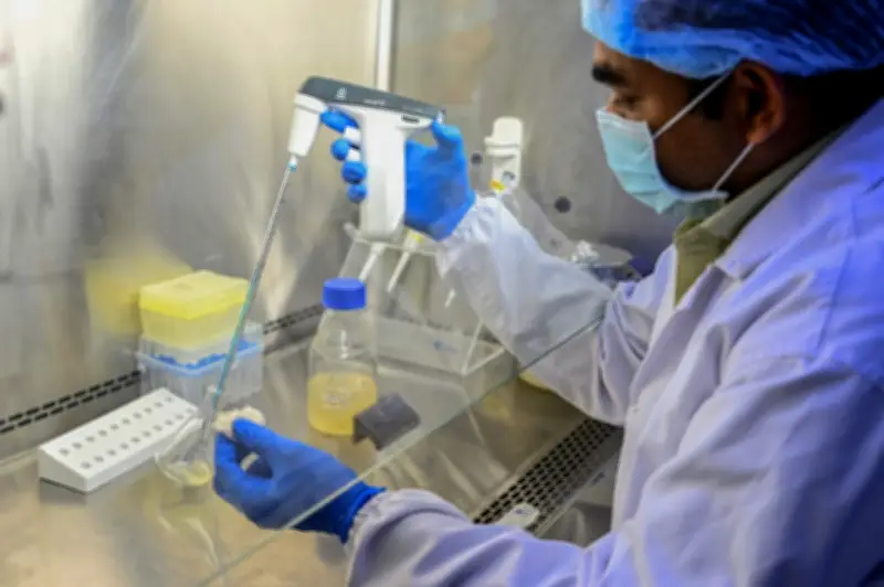 India Mulai Ujian Akhir Vaksin Denggi Satu Dos Tunggal Semasa Kes Meningkat