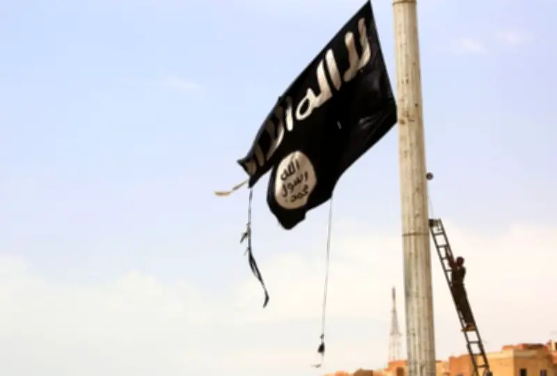 IS Gesa Pejuangnya Serang Pihak Berkuasa Baharu Syria dalam Mesej Audio Pertama Dua Tahun