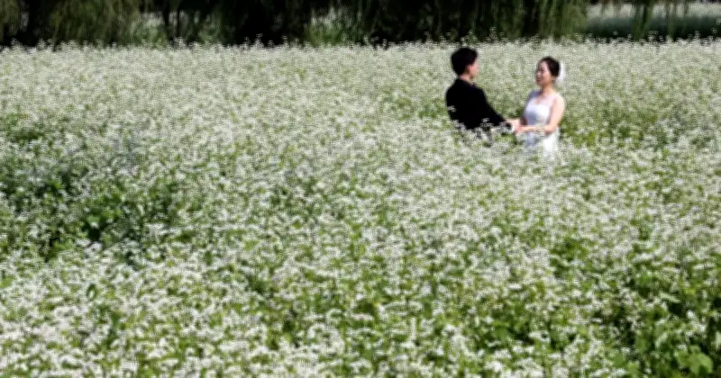 Kadar Kelahiran Korea Selatan, Terendah di Dunia, Meningkat Semula
