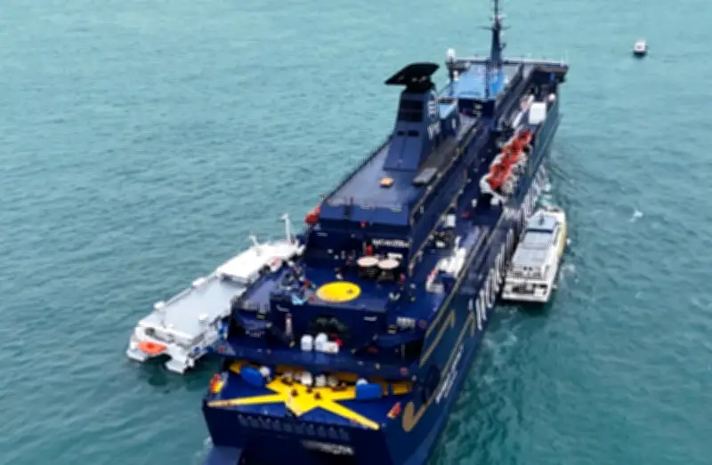 Kebakaran Kapal Persiaran Singapura: Anak Kapal Indonesia Maut, 4 Penumpang Dihantar ke Hospital