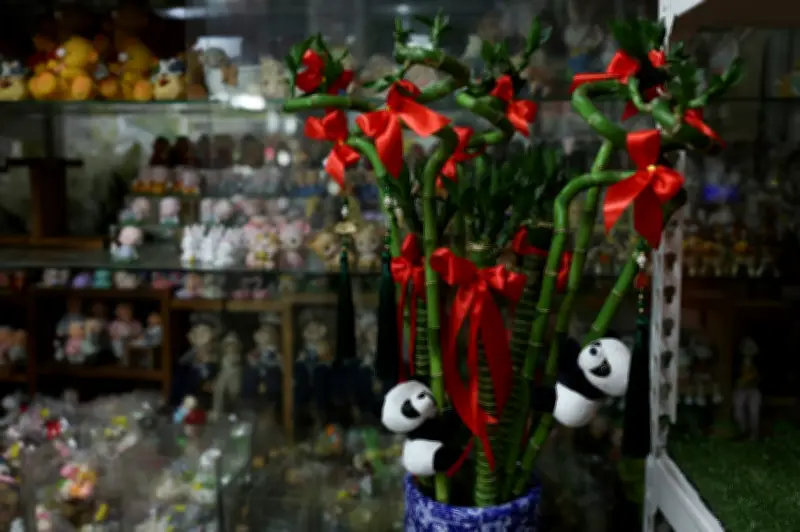 Keberuntungan Emas dalam Batang Hijau: Bambu Bertuah Tetap Bintang Hiasan Tahun Baru Cina