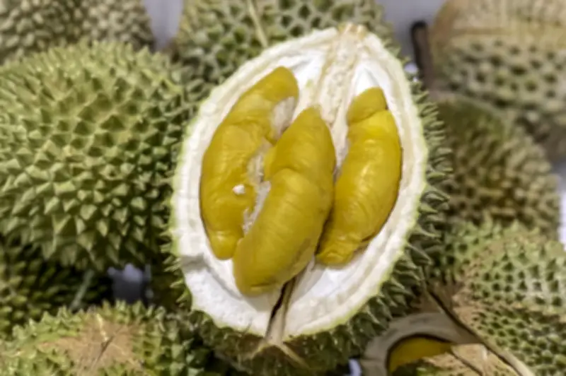 Malaysia Perjuang Lindung Jenama Musang King Daripada Durian Tiruan di China
