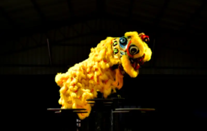 Nadi Singa di Kuching: Generasi Muda Teruskan Warisan Tarian Singa yang Bersemangat