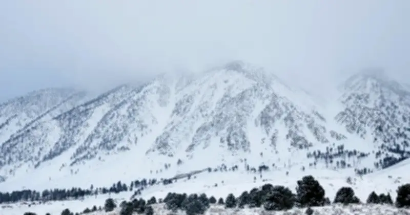 Operasi Mencari Mangsa Salji Runtuh California Diteruskan Hingga Hujung Minggu