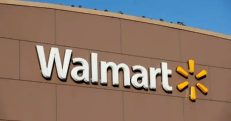 Pasaran Saham AS Turun Kerana Kebimbangan AI dan Menanti Keputusan Walmart