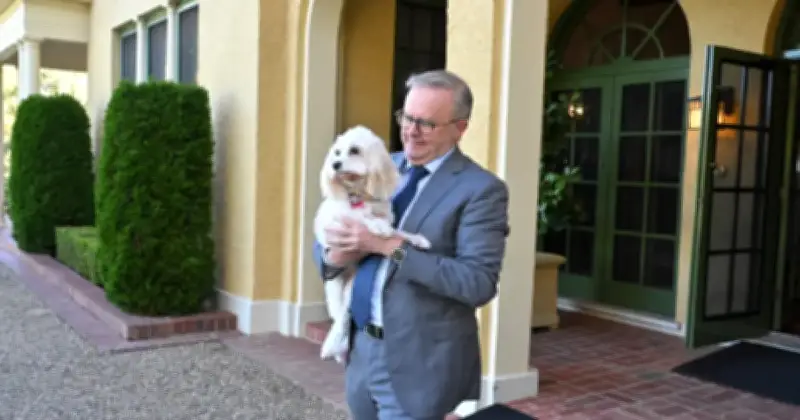 Perdana Menteri Australia Dievakuasi Akibat Insiden Keselamatan di Kediaman Rasmi