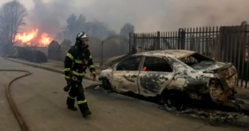Perubahan Iklim Ganda Kemungkinan Kebakaran Hutan di Chile dan Argentina
