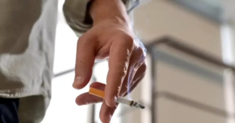 Rokok Haram Masih Kuasai Pasaran Malaysia, Kata Pengilang Tembakau