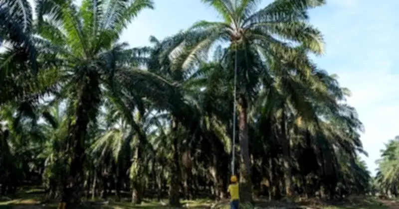 Sawit: Teknologi Kunci Sejarah Baharu Industri Kelapa Sawit Malaysia