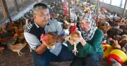 Bekas Pegawai Bomba Dan Polis Beralih Ke Penternakan Ayam Kampung Di Terengganu