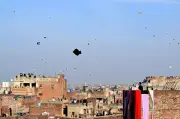 Kebangkitan Semula Festival Layang-Layang Basant di Lahore, Warna dan Debat Lama Kembali ke Langit