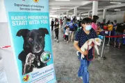 Kes Rabies Meningkat di Kuching dan Serian, Datuk Bandar Desak Kawalan Anjing Peliharaan Ketat