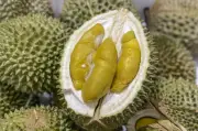 Malaysia Perjuang Lindung Jenama Musang King Daripada Durian Tiruan di China