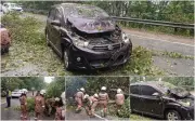 Wanita Selamat Tanpa Cedera Selepas Pokok Tumbang Atas Kereta di Lebuhraya Ipoh-Lumut