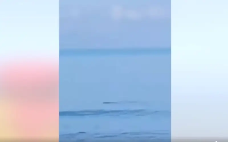 Amaran Buaya di Pantai Tanjung Aru Sabah: Pengunjung Dinasihatkan Elak Masuk Air