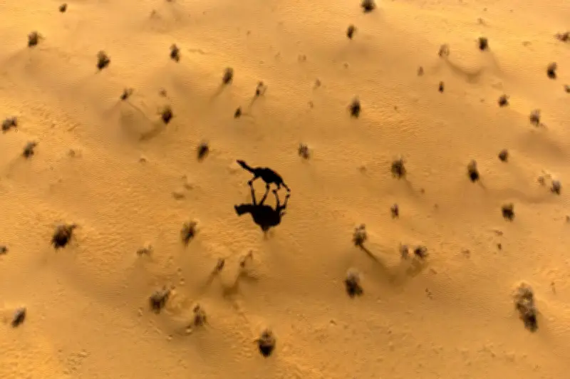 Ancaman Iran Terhadap Loji Penyahgaraman Timur Tengah Boleh Jadikan Air Medan Pertempuran Baharu