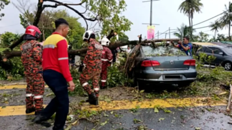 Angin Kencang Tumbangkan Pokok di Ipoh, Enam Individu Selamat Daripada Kemalangan
