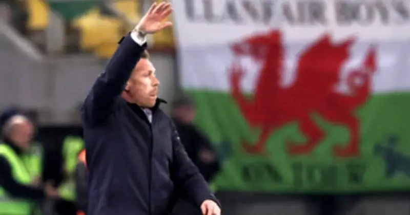 Bellamy Yakin Wales Akan Jadi Aset Penting Untuk Piala Dunia Jika Layak