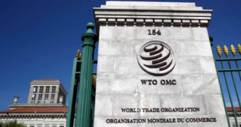Brazil Halang Perbincangan WTO, Perundingan E-Dagang Tergendala