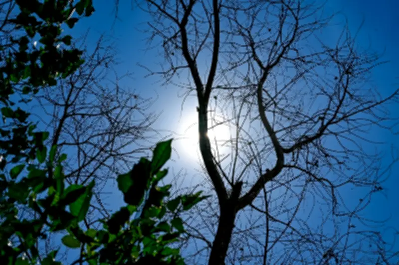 Cuaca Panas di Malaysia Diramal Berterusan Hingga Jun, MetMalaysia Beri Amaran