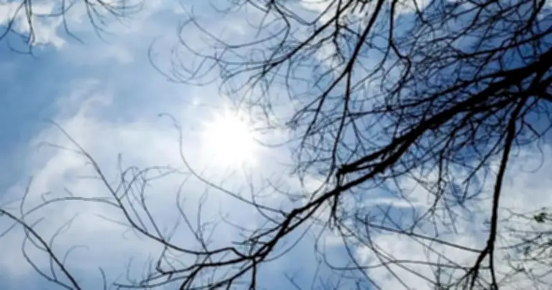 Cuaca Panas: Sekolah di Kota Setar dan Pendang Laksanakan PdPR Selama Tiga Hari