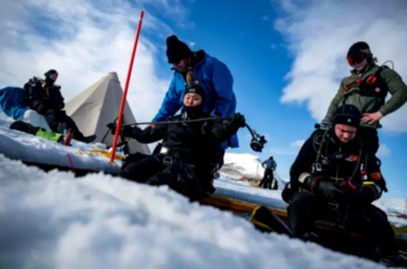 Dedah Latihan Penyelam Saintifik di Kutub: Bersedia untuk Penyelidikan di Hujung Bumi