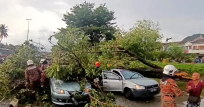 Enam Individu Diselamatkan Selepas Pokok Tumbang Hempas Tiga Kereta di Ipoh