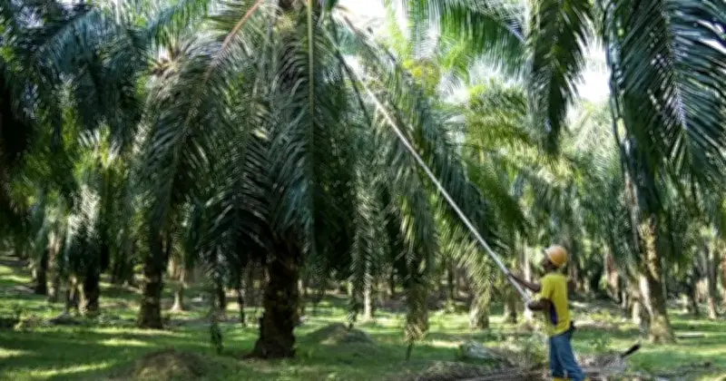 Felda dan Kerajaan Terengganu Capai Kata Sepakat Status Milikan Ladang 6 Daerah