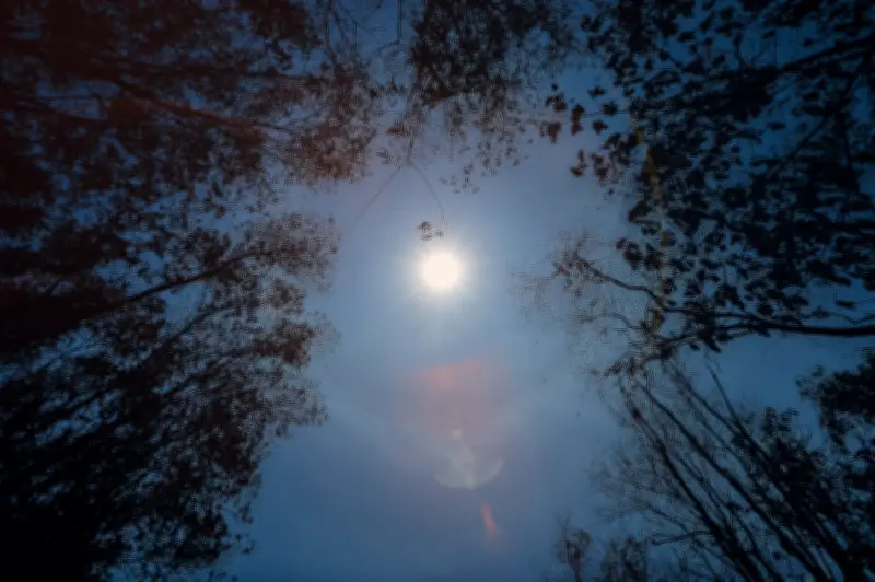 Gelombang Panas Melampau: Kedah dan Perlis Hadapi Krisis Air dan Ancaman Hasil Pertanian