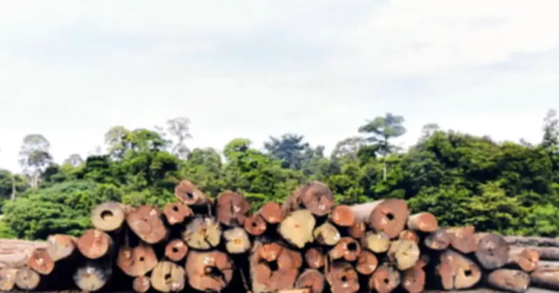 GOF Sarawak Rampas Barang Bernilai RM18.34 Juta dalam Tiga Operasi