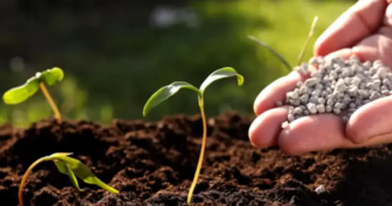 Harga Baja Global Melonjak 40% Akibat Perang Iran, Ancaman Harga Makanan