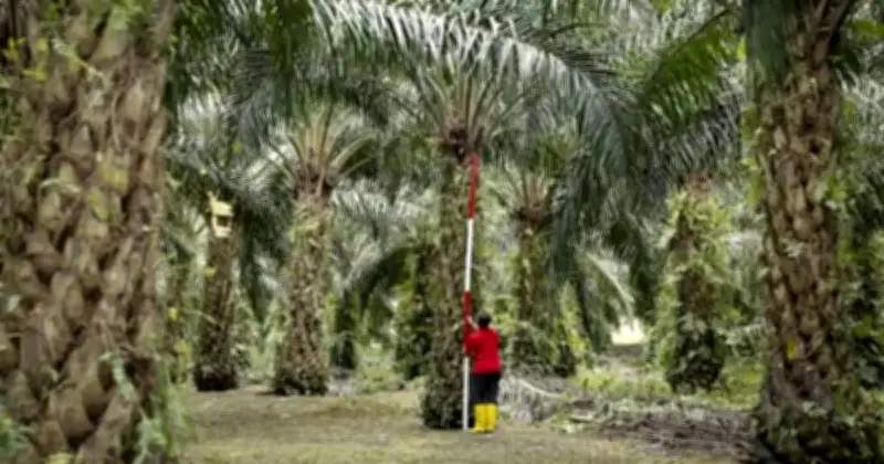 Indonesia Mohon Gantung Konsesi WTO Terhadap EU Dalam Pertikaian Minyak Sawit