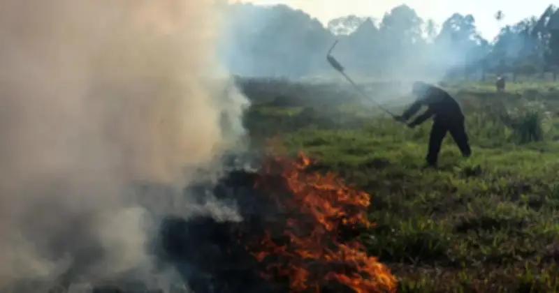Jabatan Bomba Sarawak Gesel Penghentian Pembakaran Terbuka Selepas 59 Kes di Miri