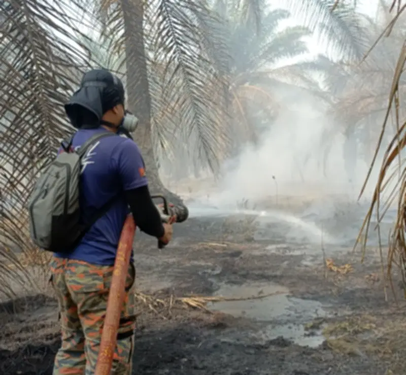 Johor Bomba Guna Helikopter Bom Air Atasi Kebakaran 150 Hektar di Kota Tinggi