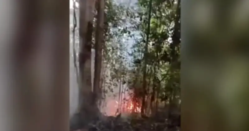 Kebakaran Hutan di Belakang Kondominium Tanjung Bungah Berjaya Dikawal Selepas Empat Jam