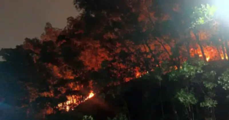 Kebakaran Hutan di Puncak Jalil Berjaya Dipadam Sepenuhnya Tanpa Mangsa