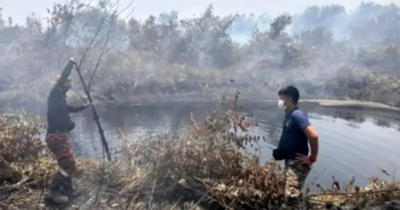 Kebakaran Hutan Pengerang: Operasi Pemadaman Masuk Hari Keempat