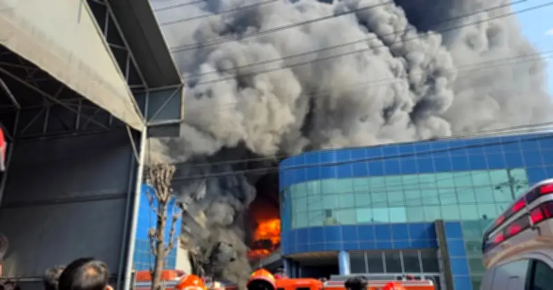 Kebakaran Kilang Komponen Kereta di Korea Selatan Tewaskan 10 Orang