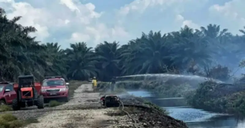 Kebakaran Ladang Kelapa Sawit di Pahang Masuk Hari Kedua