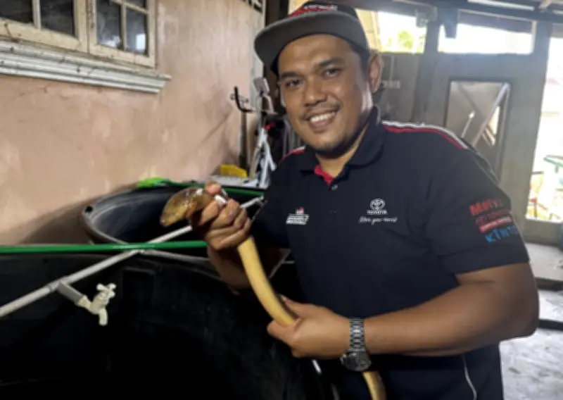 Kegagalan Awal Jadi Pembakar Semangat: Dua Usahawan Kelanten Berjaya Dalam Penternakan Belut Hibrid