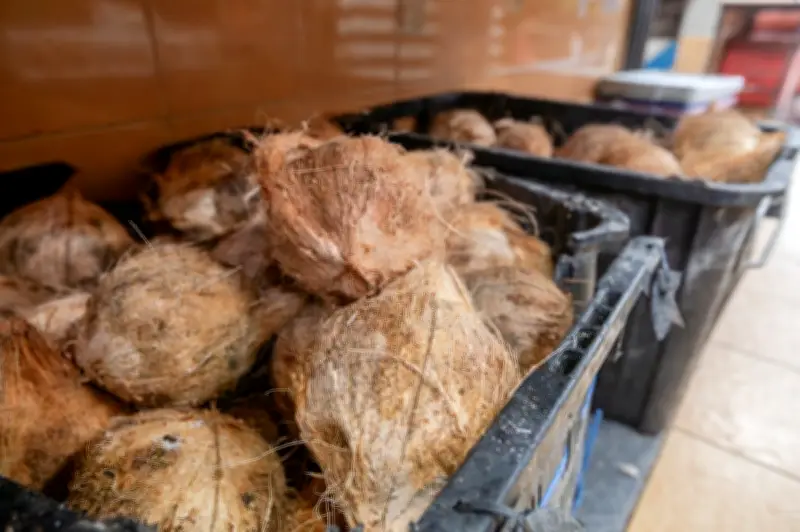 KPKM Pastikan Bekalan Kelapa Mencukupi Sambut Aidilfitri