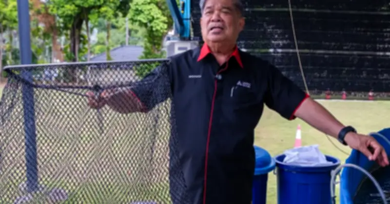 Mat Sabu Kongsi Pengalaman Ternak Ikan di Halaman Rumah untuk Jimat Belanja Dapur