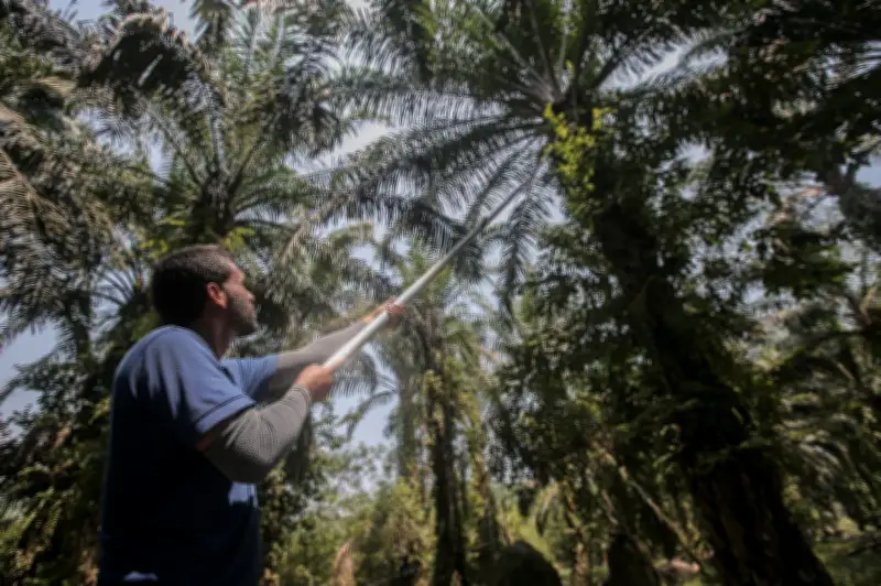 Mengubah Masalah Metana Sawit Menjadi Penyelesaian Iklim