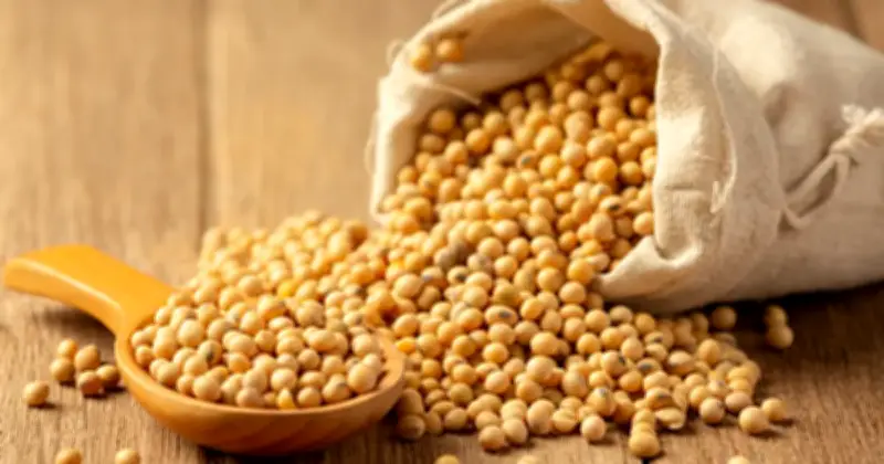 Minyak Kacang Soya Melonjak Tertinggi Dua Tahun Ikut Kenaikan Minyak Mentah