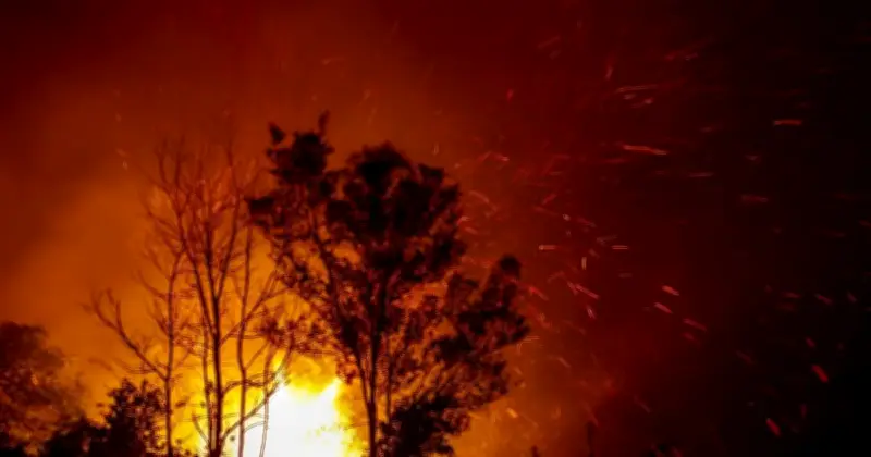 Pahang Catat 87 Kes Kebakaran Terbuka Dalam Tempoh Seminggu