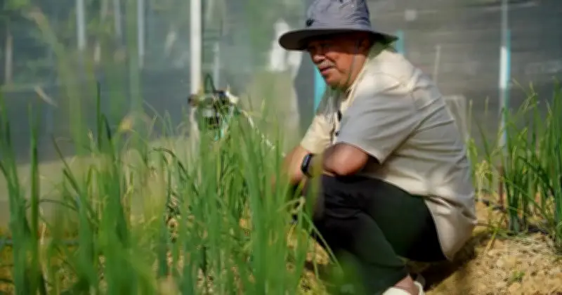 Pakar Tegaskan Ladang Isi Rumah Bukan Penyelesaian Jangka Panjang Keterjaminan Makanan